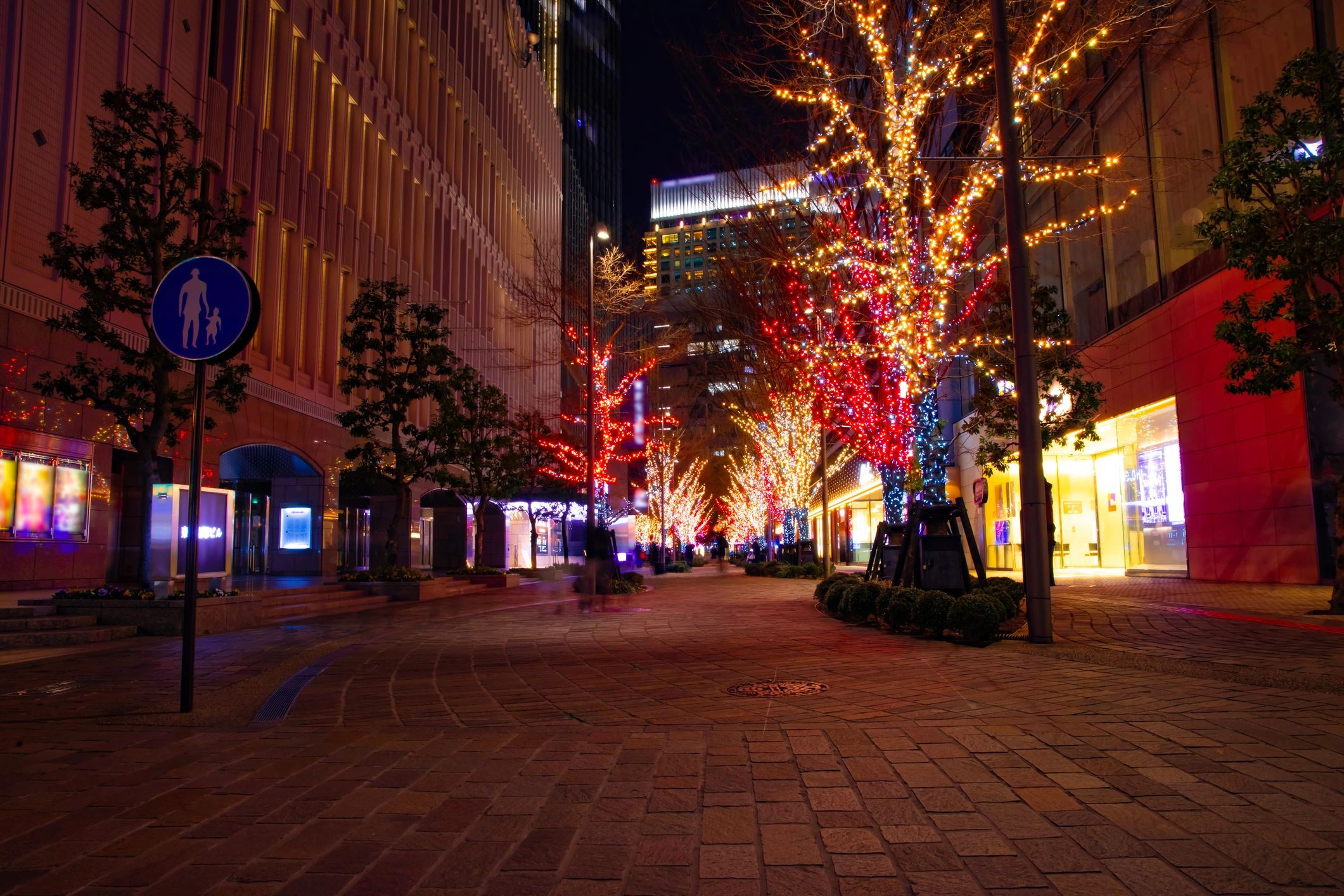 Exterior holiday lights representing holiday decorating services